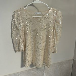 Sparkly Zara Top